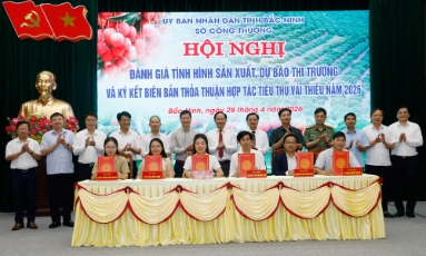  Bắc Ninh mở rộng tiêu thụ vải thiều vụ 2026